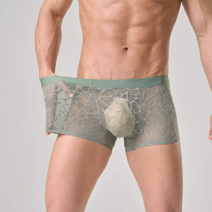 QS Sexy Lace Mesh Boxer Briefs