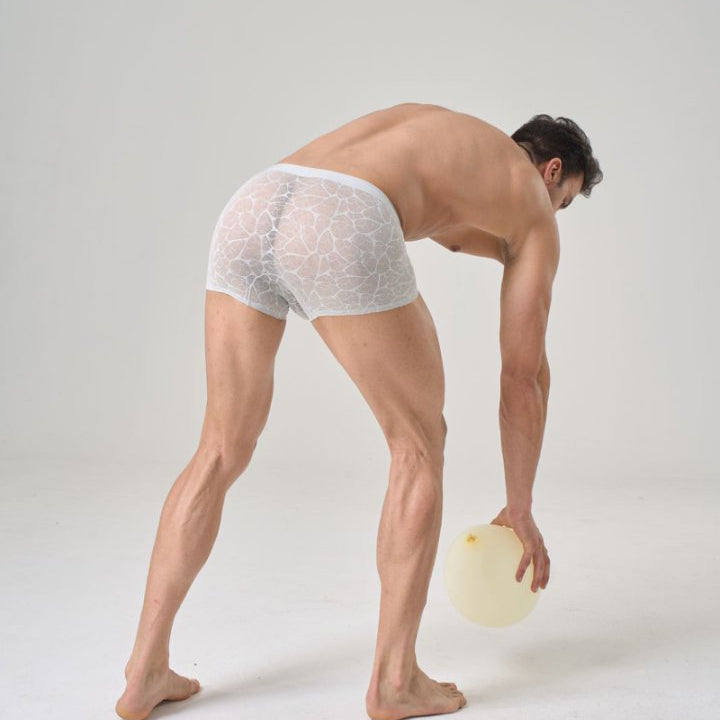 QS Sexy Lace Mesh Boxer Briefs