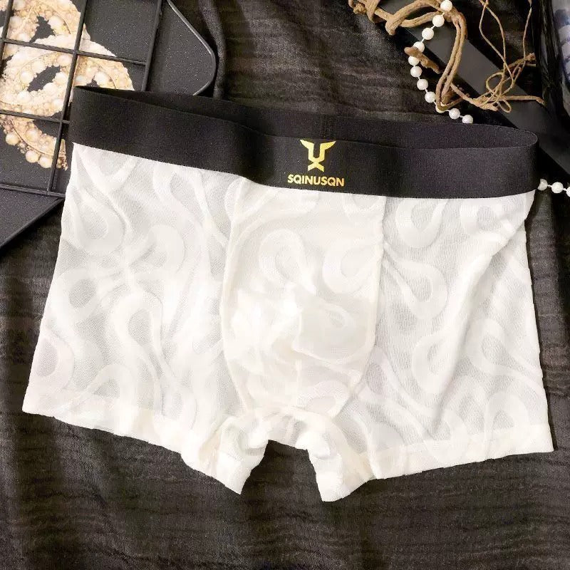 QS Sexy Breathable Mesh Boxer Shorts