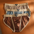 QS Sexy Ice Silk Satin Breathable Briefs