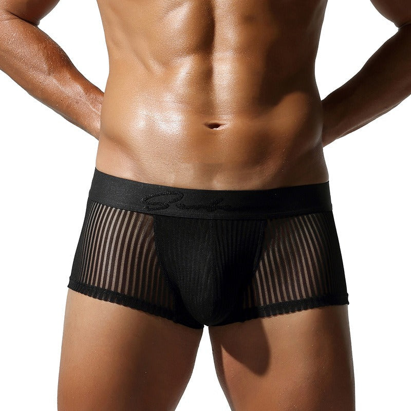 QS Semi-transparent Mesh Striped Sexy Boxer Briefs