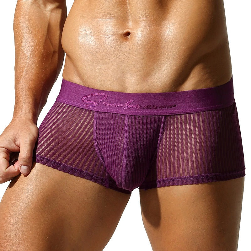 QS Semi-transparent Mesh Striped Sexy Boxer Briefs