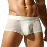 QS Semi-transparent Mesh Striped Sexy Boxer Briefs