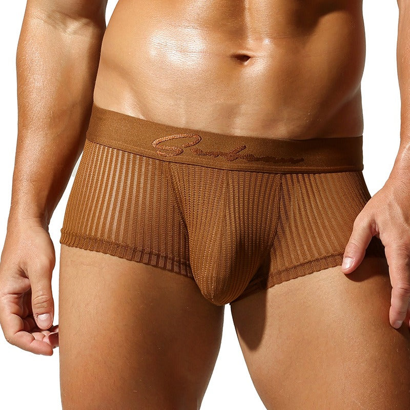 QS Semi-transparent Mesh Striped Sexy Boxer Briefs