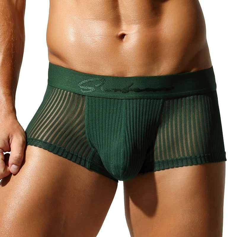 QS Semi-transparent Mesh Striped Sexy Boxer Briefs