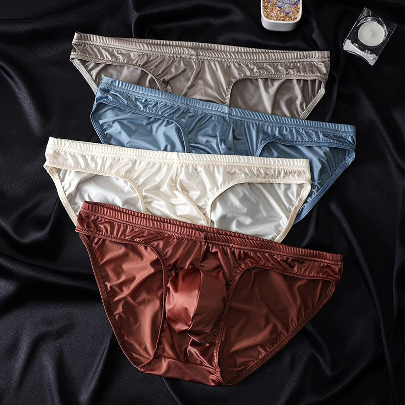 Sexy silky briefs