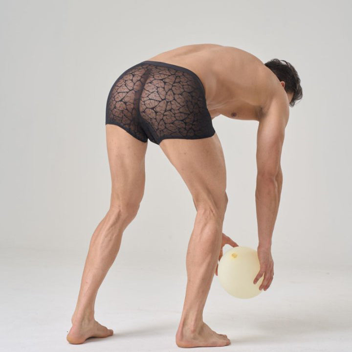 QS Sexy Lace Mesh Boxer Briefs