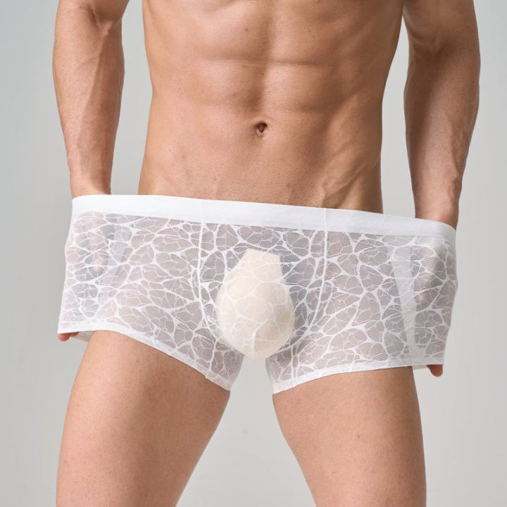 QS Sexy Lace Mesh Boxer Briefs