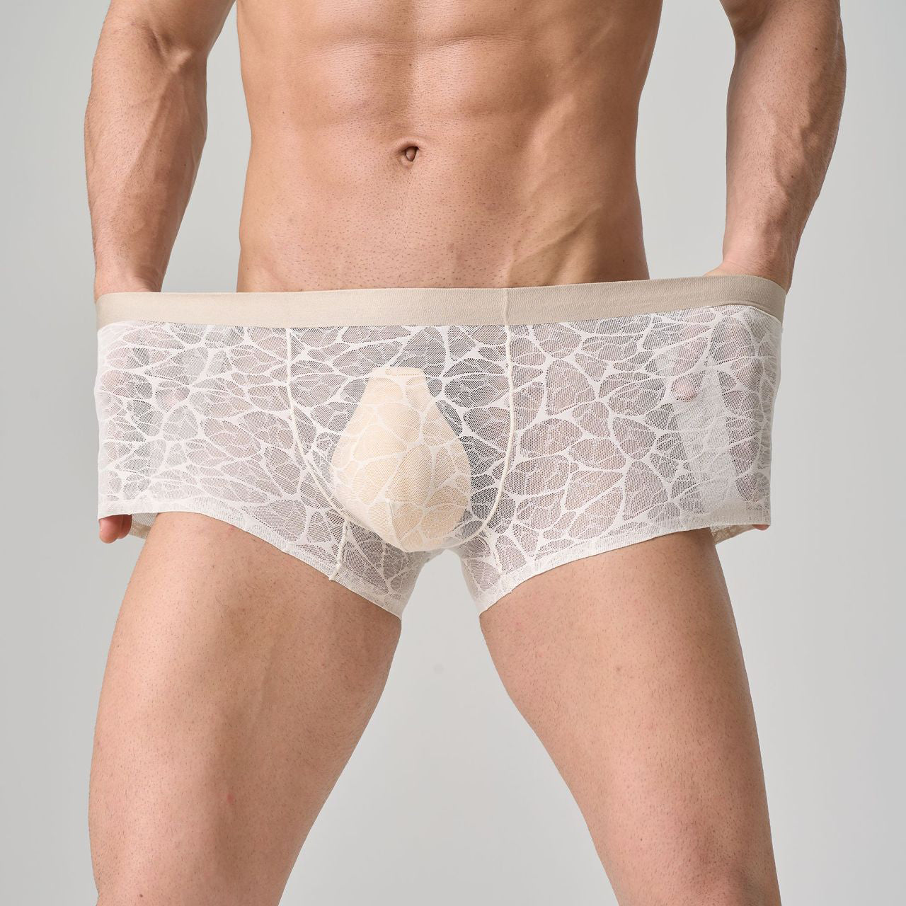 QS Sexy Lace Mesh Boxer Briefs