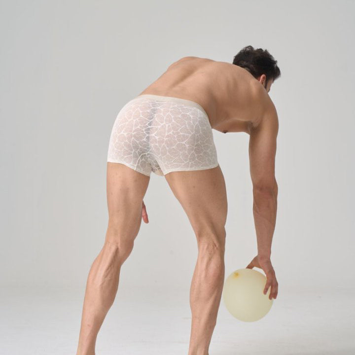 QS Sexy Lace Mesh Boxer Briefs