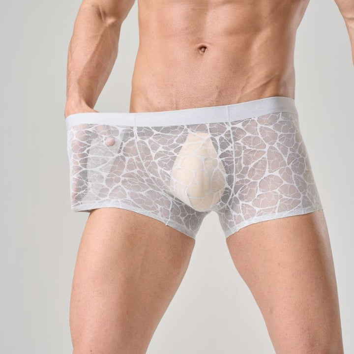 QS Sexy Lace Mesh Boxer Briefs