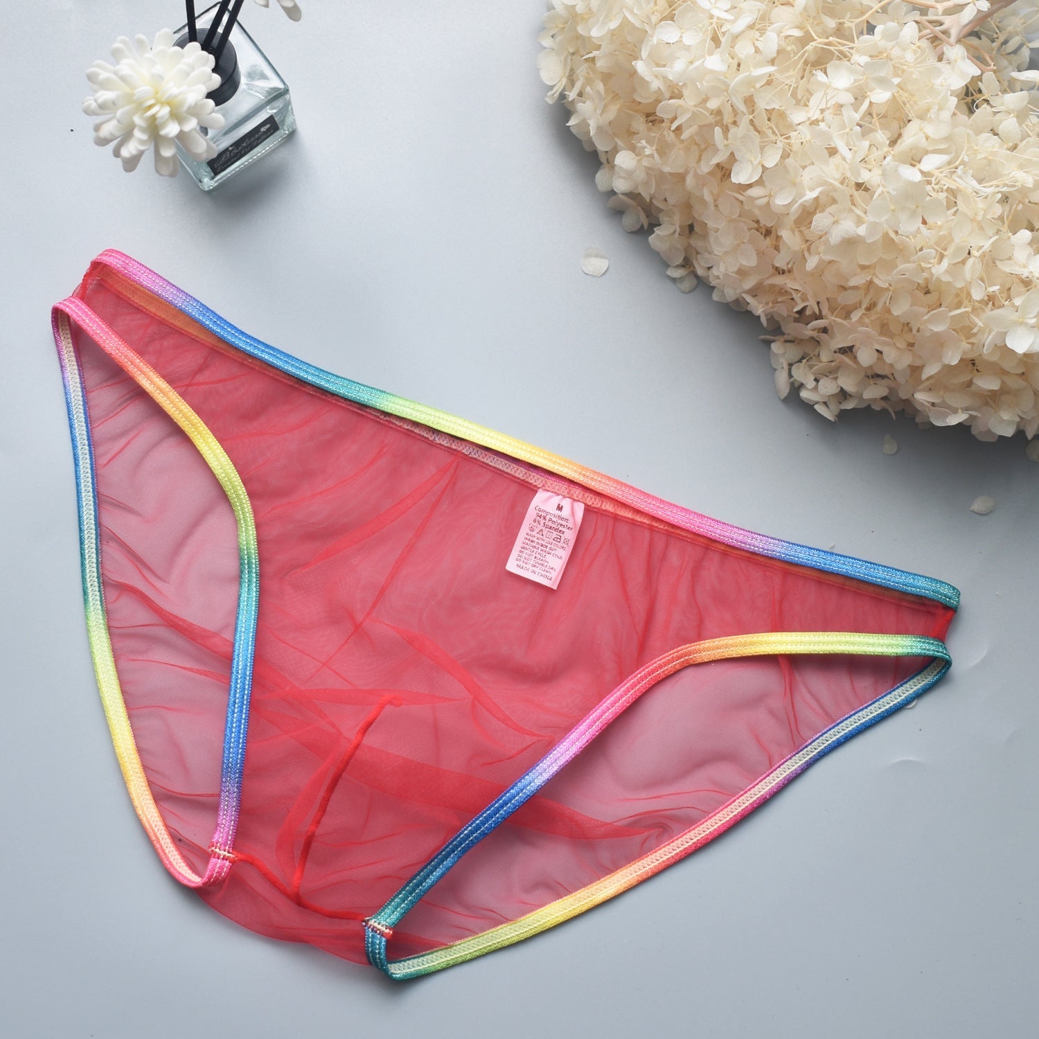 Rainbow Edge Mesh Briefs