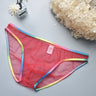 Rainbow Edge Mesh Briefs