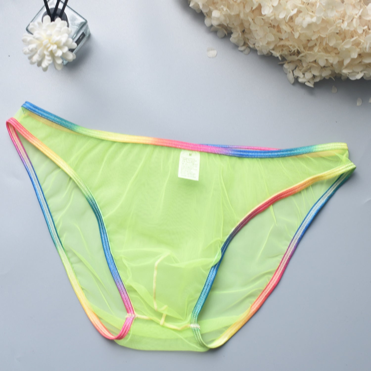 Rainbow Edge Mesh Briefs