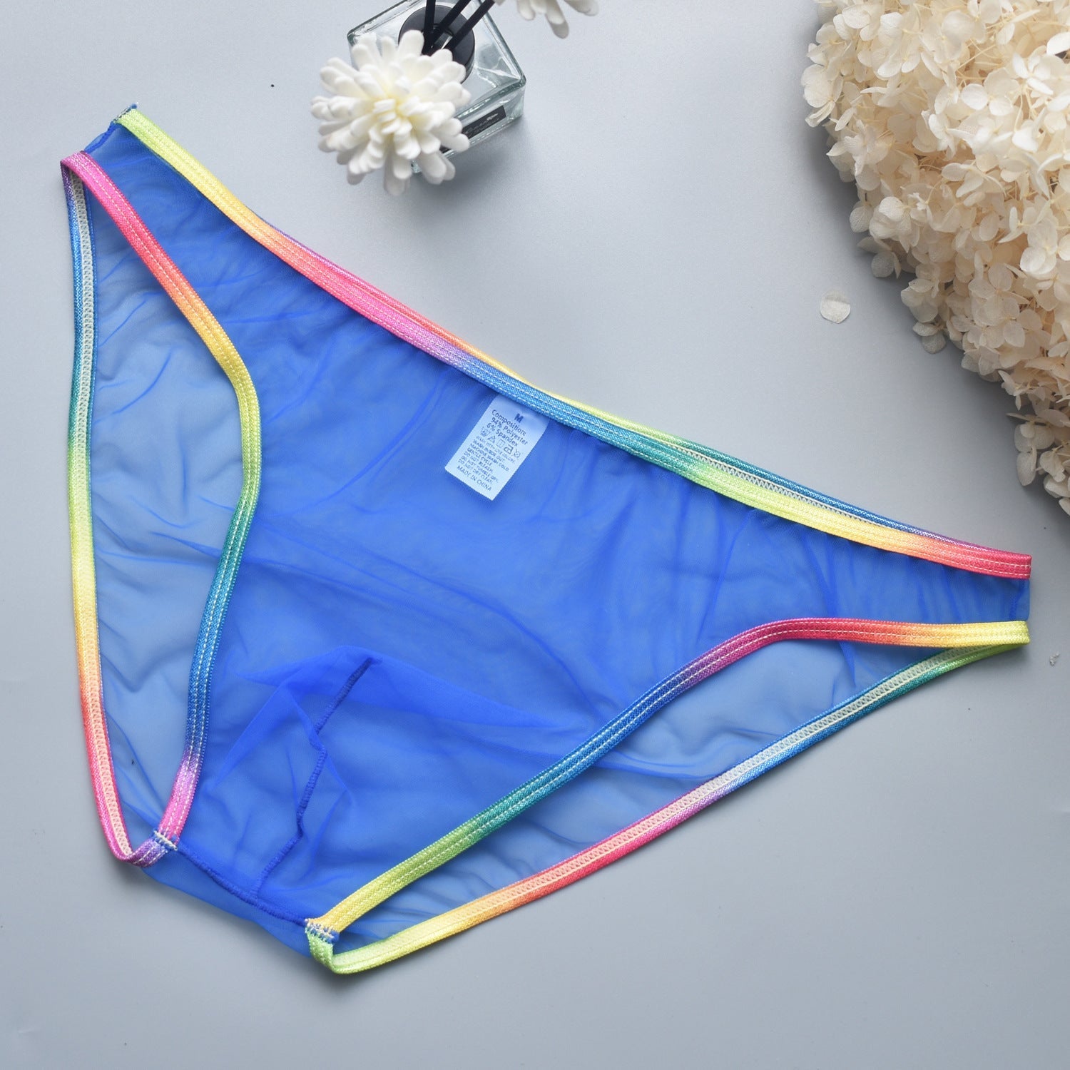 Rainbow Edge Mesh Briefs